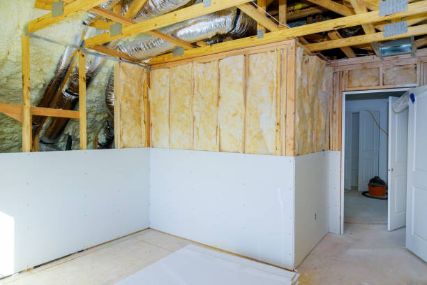 Best Basement Insulation  in Coeburn, VA